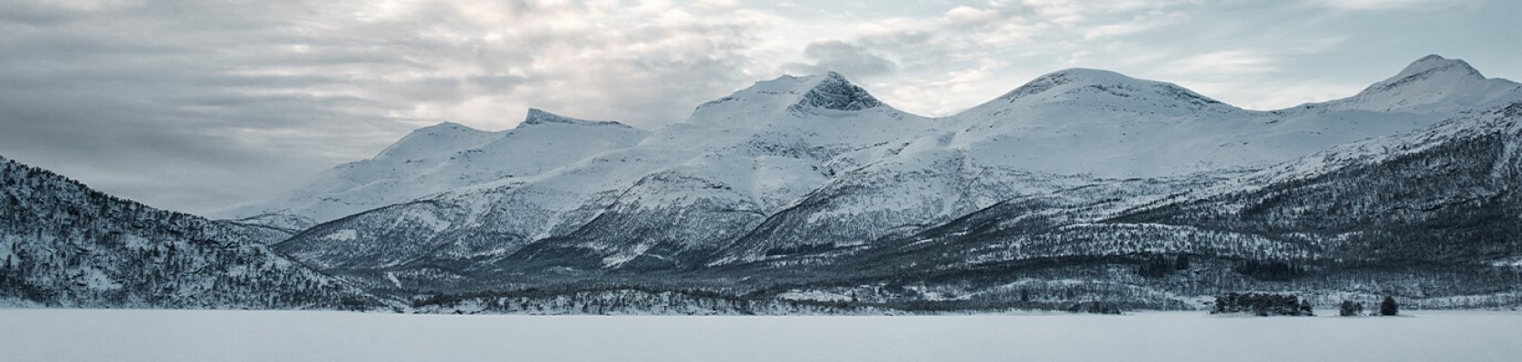 Winter nature