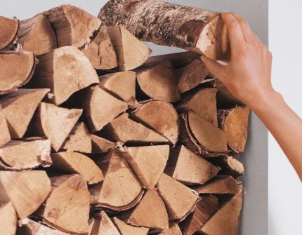 Hand which grasping dry wood 